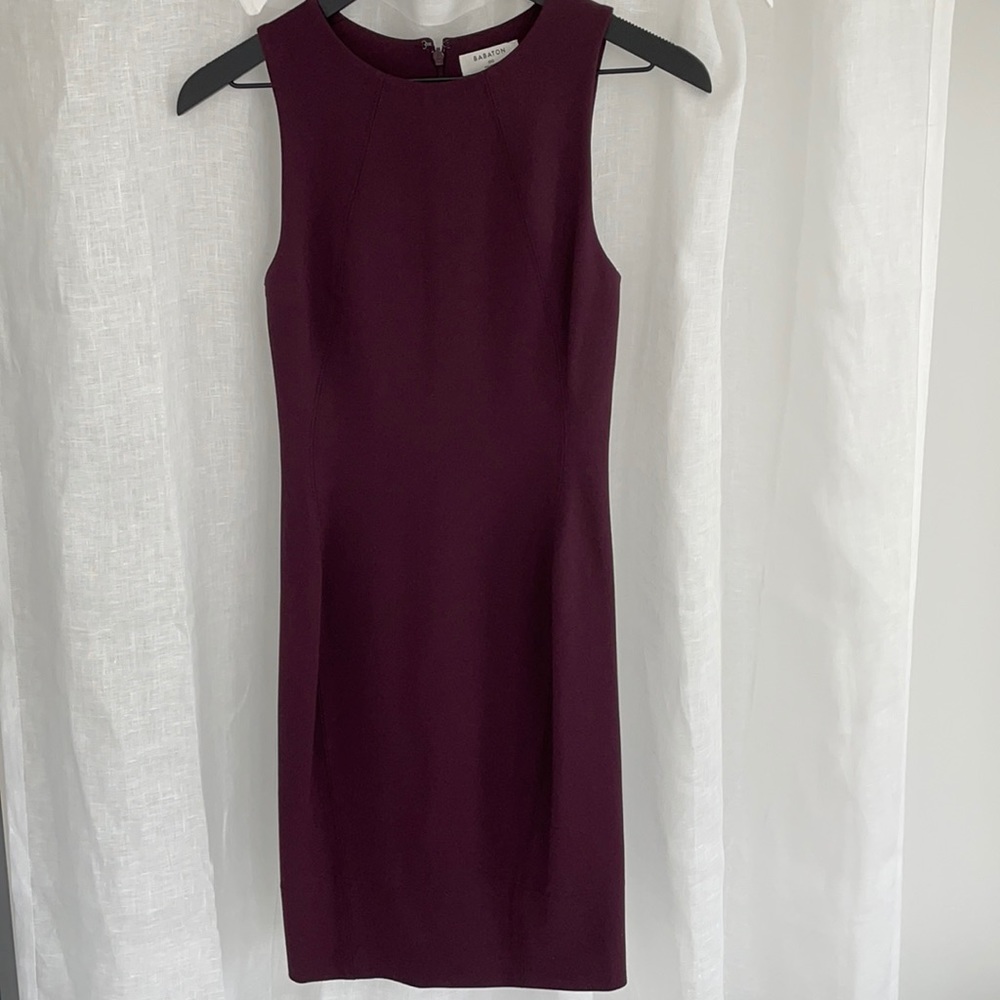 Aritzia Babaton Miguel Dress